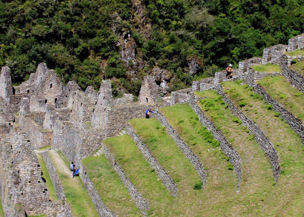 wiñay-huayna-3