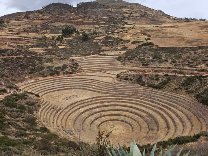 MORAY FB
