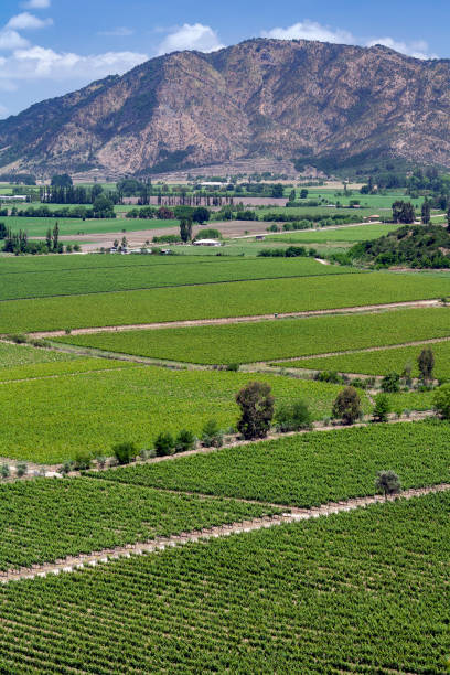 VALLE COLCHAGUA PIXABAY